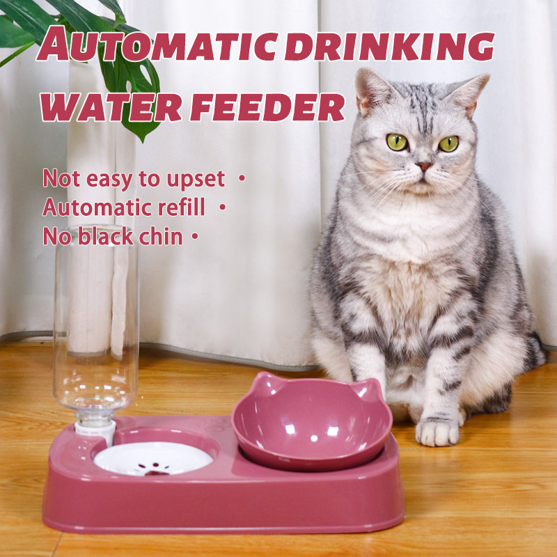 Hot selling new 2 in 1 automatic drinking water feeding cat bowl plastic pet bowl
