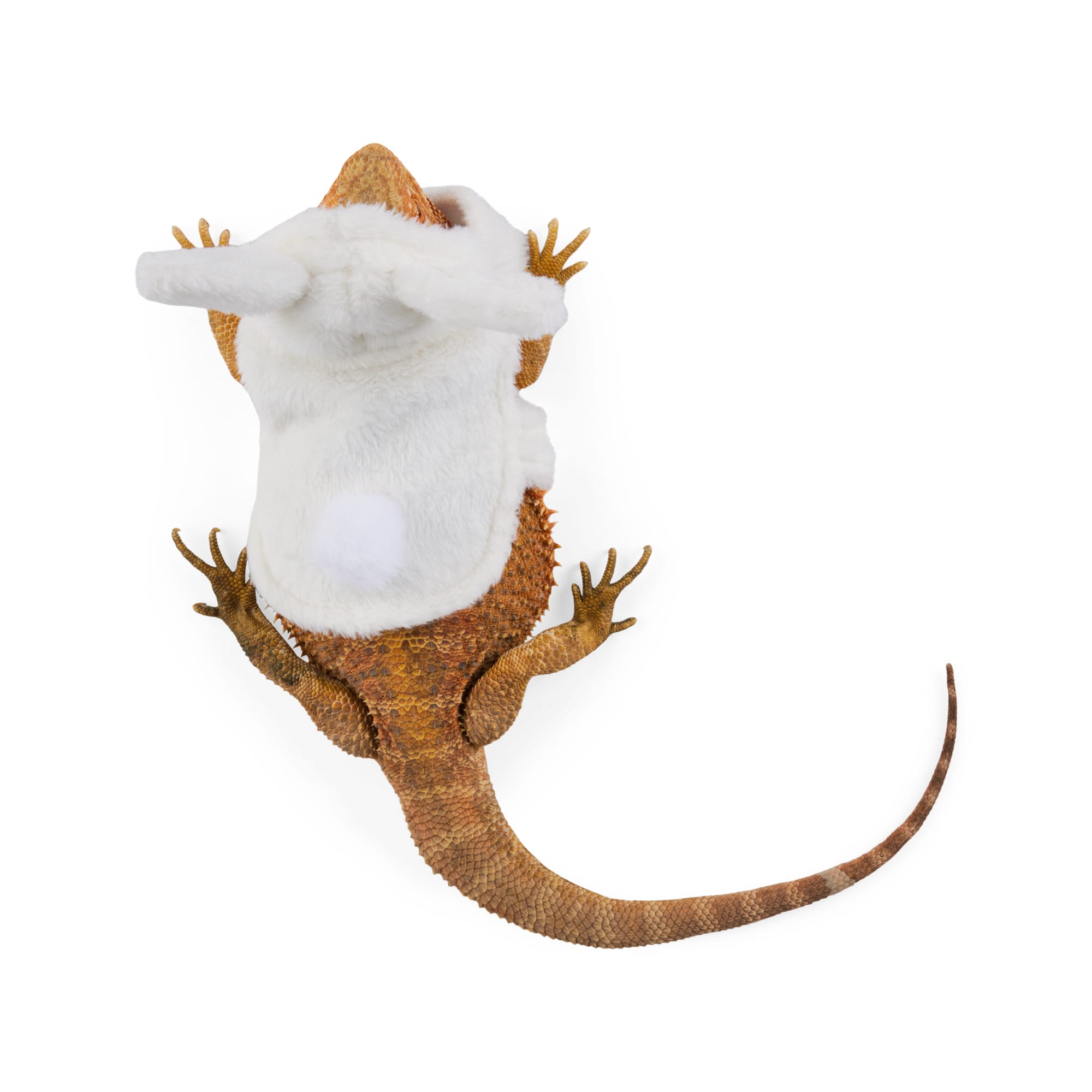 YOULY Easter Bearded Dragons Bunny Hoodie
