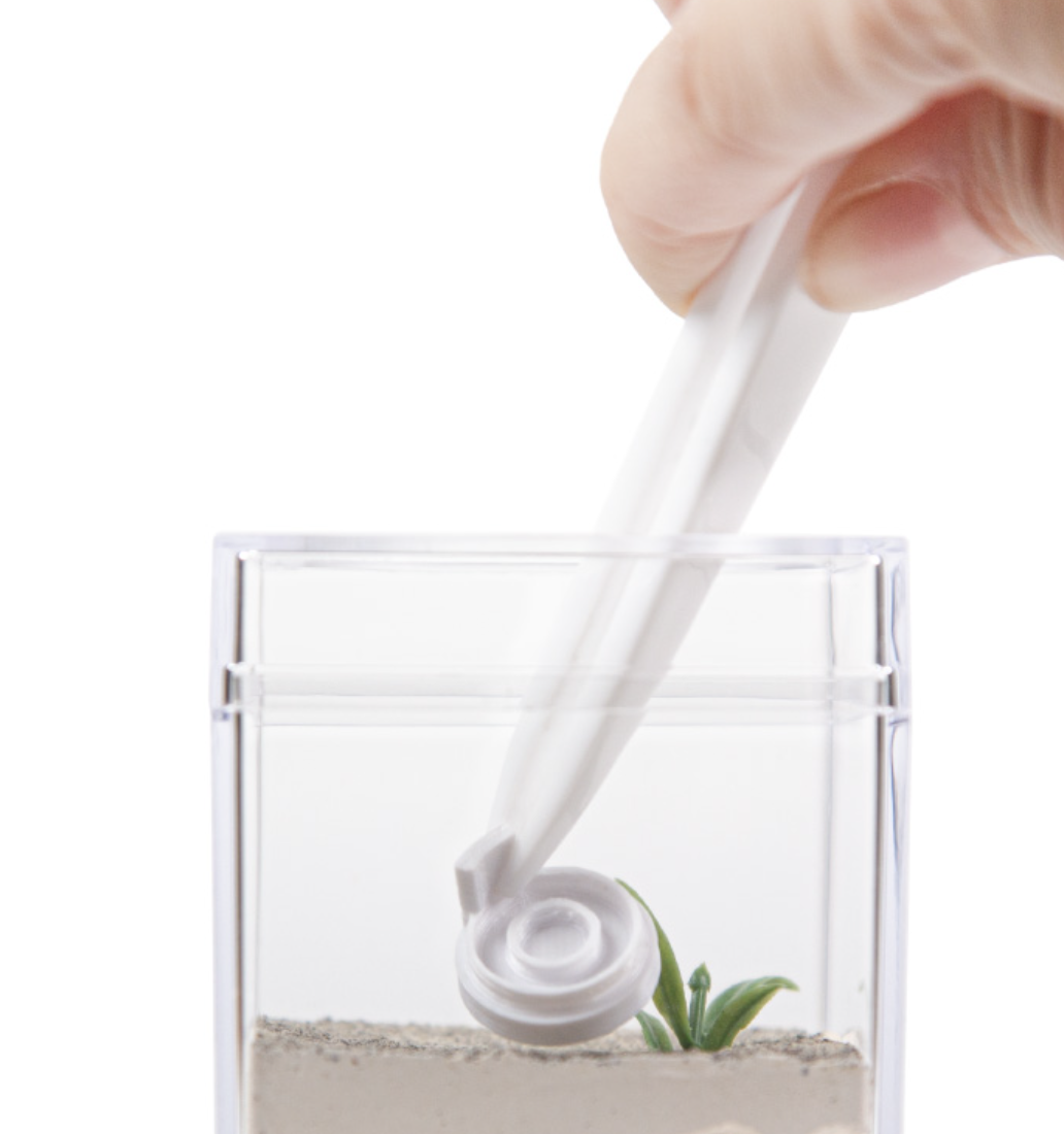 PLA Anti Drowning Feeder Ant Feeder for Ants Other Pet Supplies