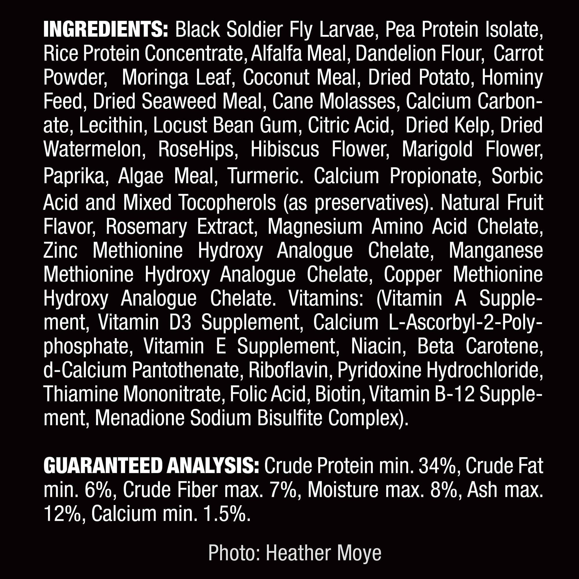 Repashy Beardie Buffet Omnivore Premix Gel, 3 oz.
