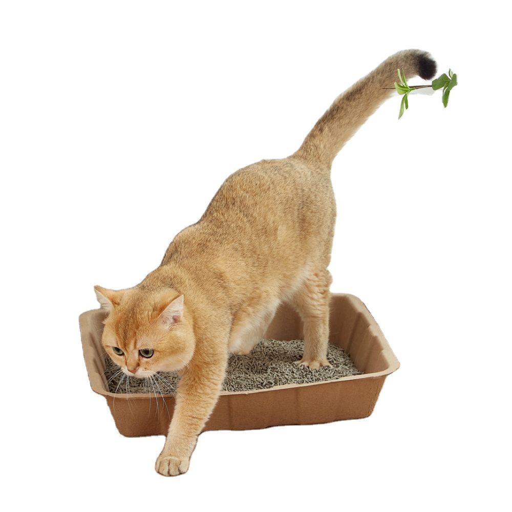 New Design Environmentally Friendly Disposable Degradable Cat Litter Box