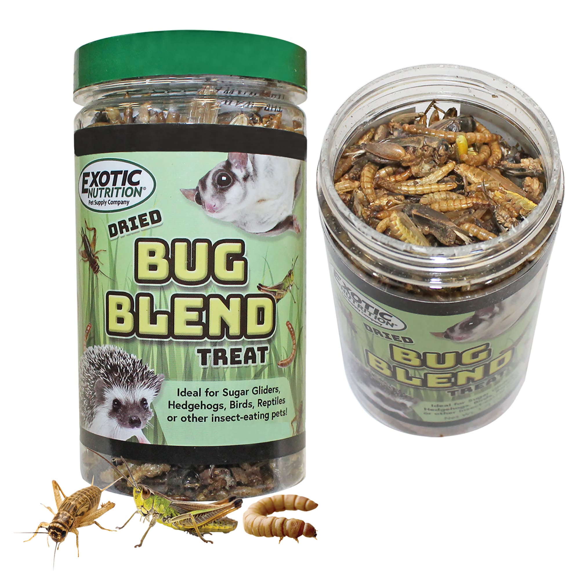Exotic Nutrition Bug Blend Small Pet Treat, 1.71 oz.