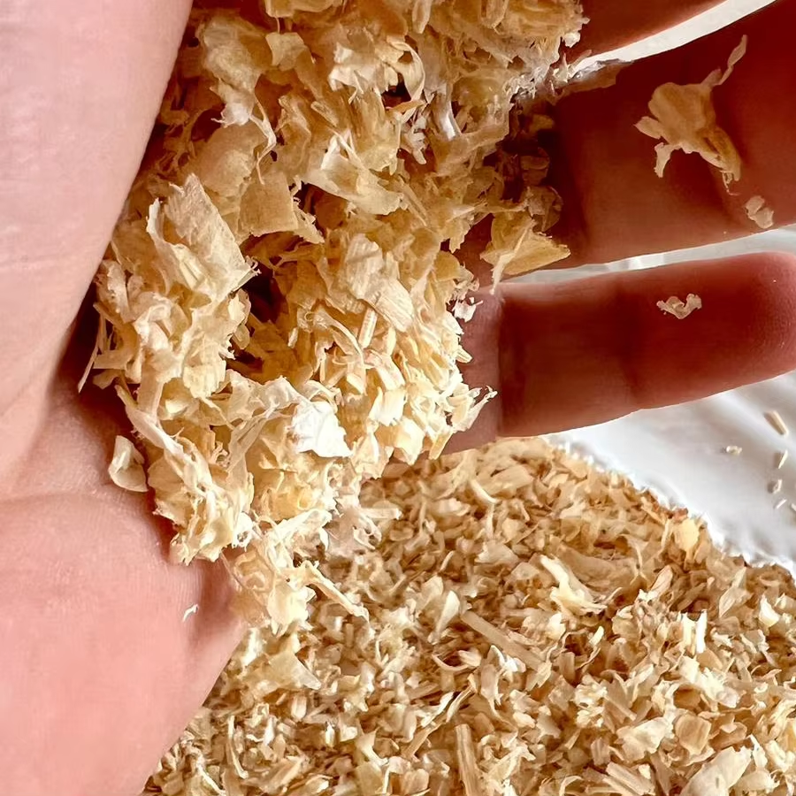 100% Natural Pine Wood Shavings Dust-Free 100x100 Large Leaves 20kg Bag for Horse Bedding & Pet Carriers Travel Products