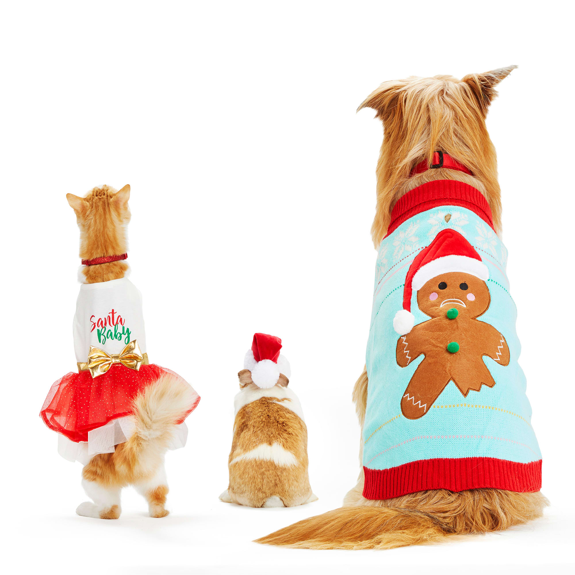 Merry Makings Small Animal Santa Hat