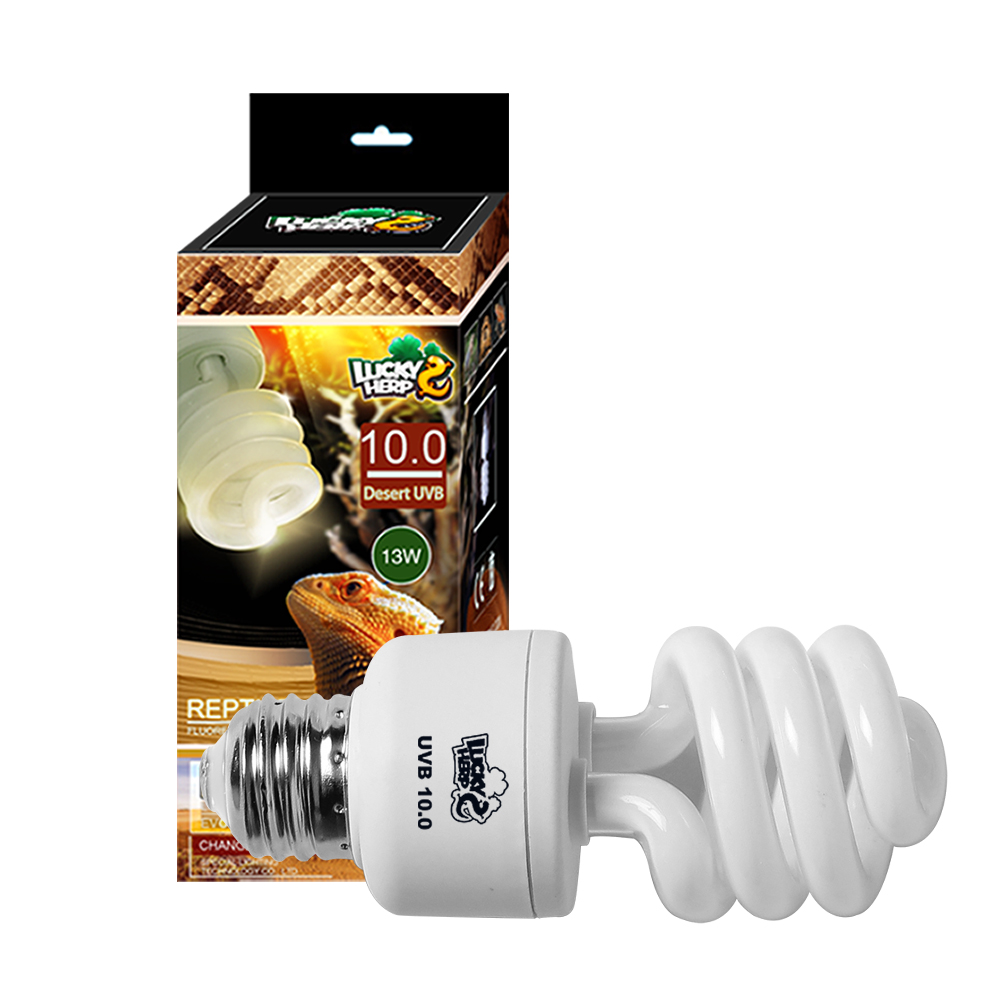 compact fluorescent reptile lamp 10% uva uvb terrarium warm light/bulb for lizard 13w