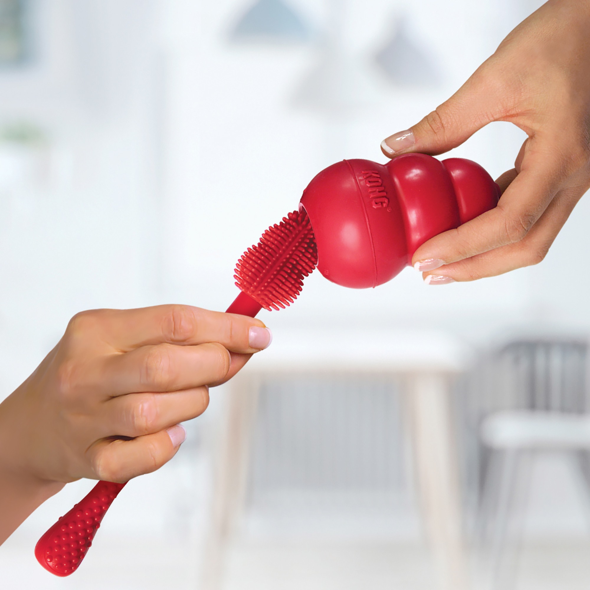 KONG Brush Dog Toy, One Size