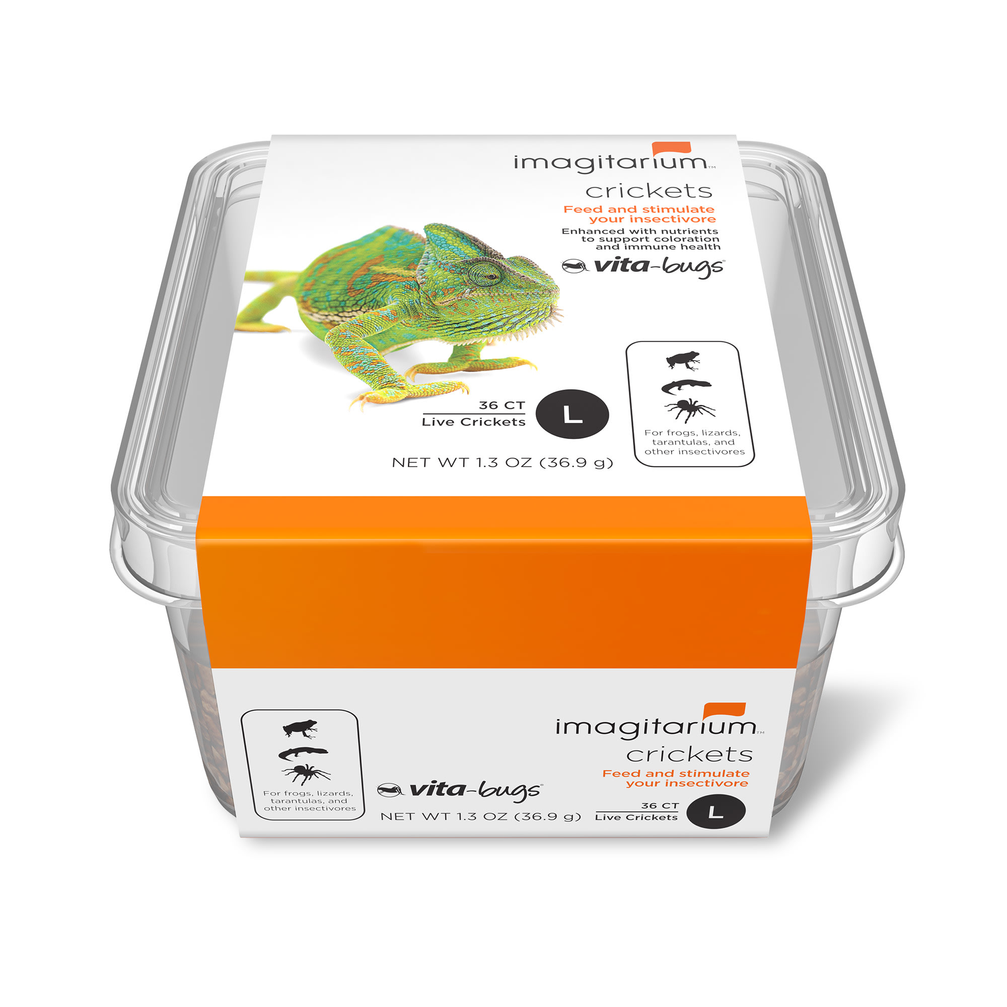 Reptile Complete Diet Combo Pack - Medium