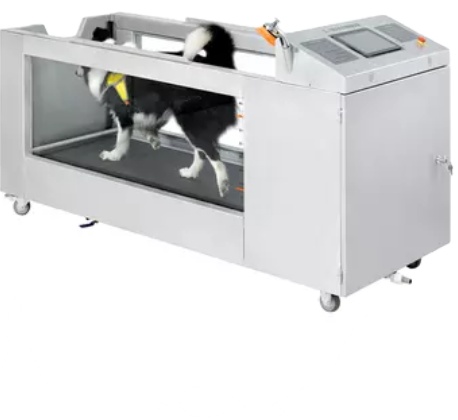 Electrical pet hydrotherapy underwater treadmill for dogs treadmill