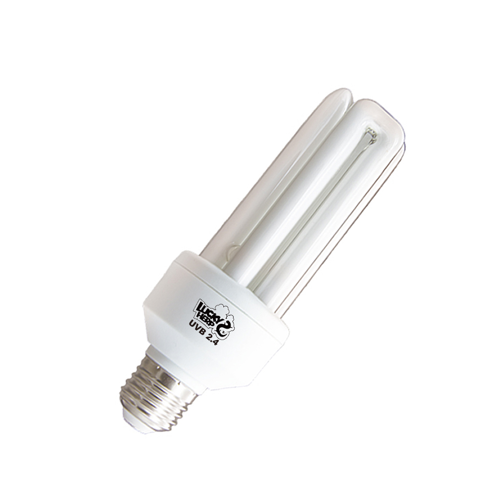 20w Bird 2.0 uvb uva compact fluorescent lamp light bulb 2 in 1