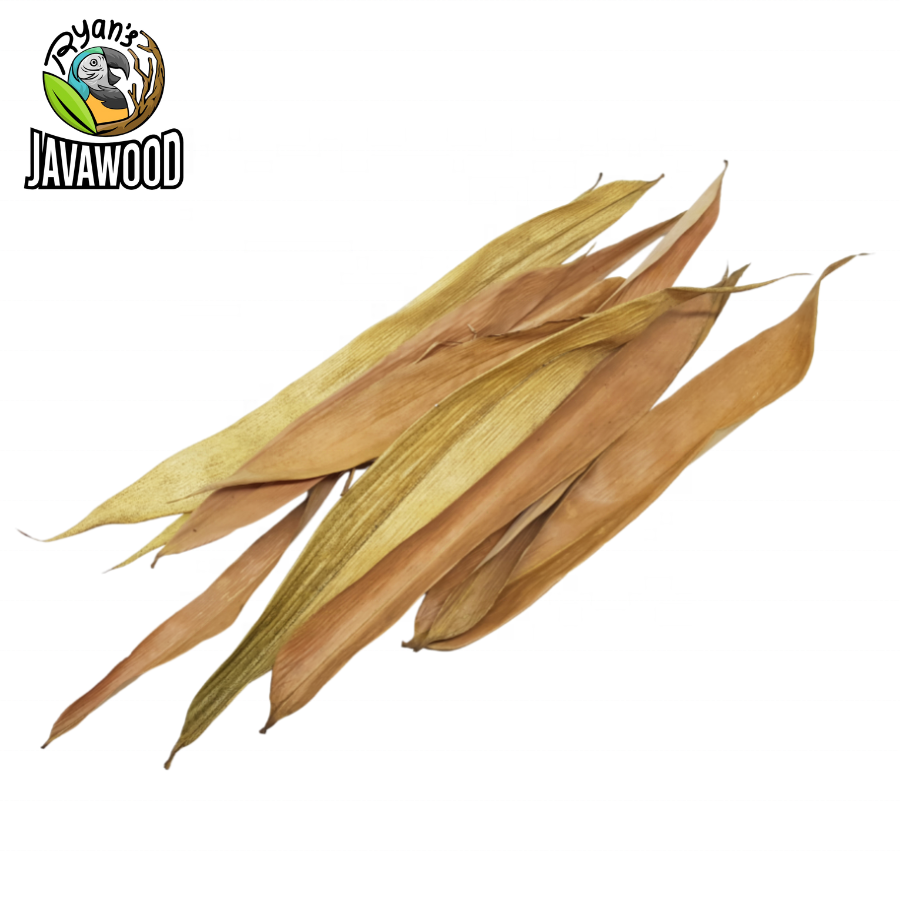 Bio Active Dried Mahogany, Bamboo, Jackfruit, Mango Leaves for Reptile Cage or House at Home from Central Java Indonesia