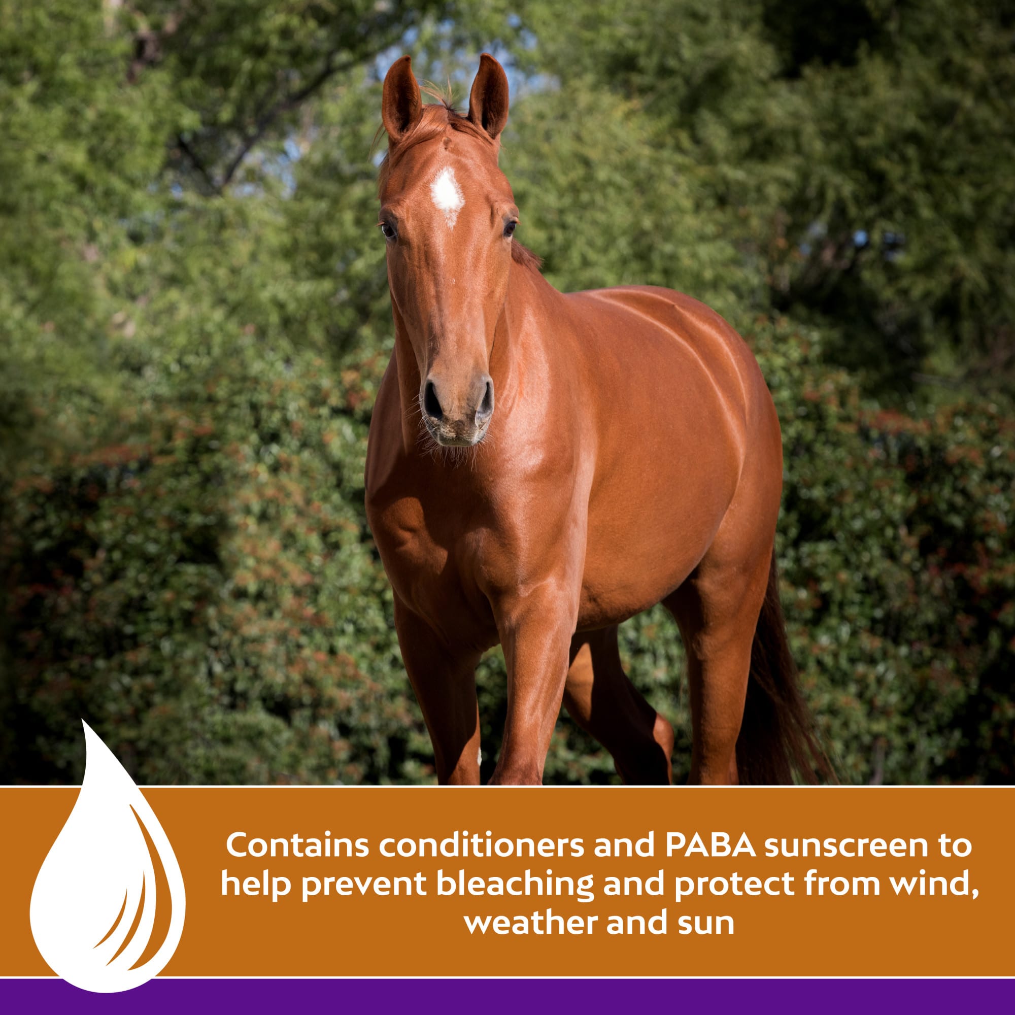 Farnam Vetrolin Shine Coat Conditioner & Shine Spray for Horses & Dogs, 64 fl. oz.
