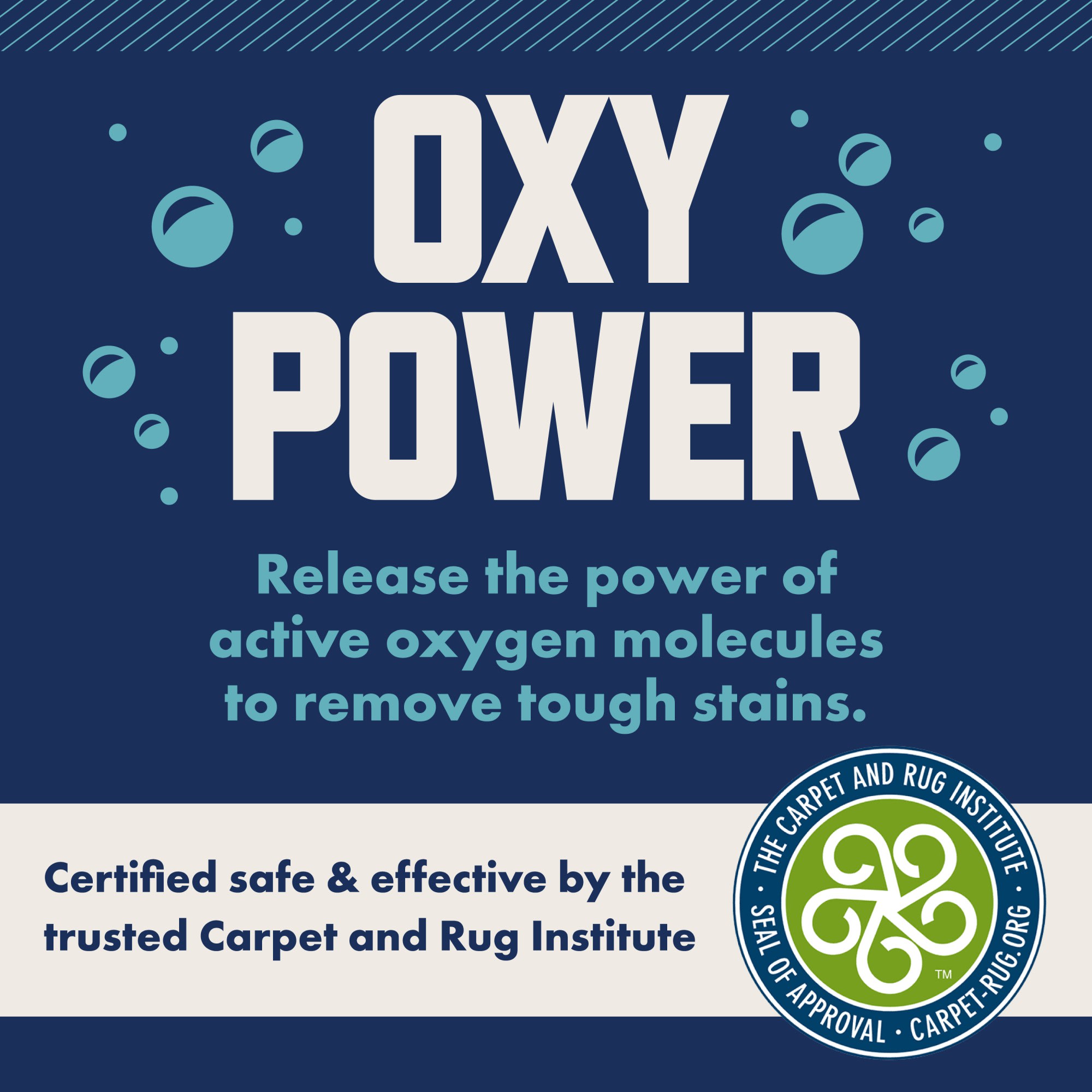 ROCCO & ROXIE Oxy Encapsulation Carpet Shampoo Cleaner for Dogs, 32 fl. oz.