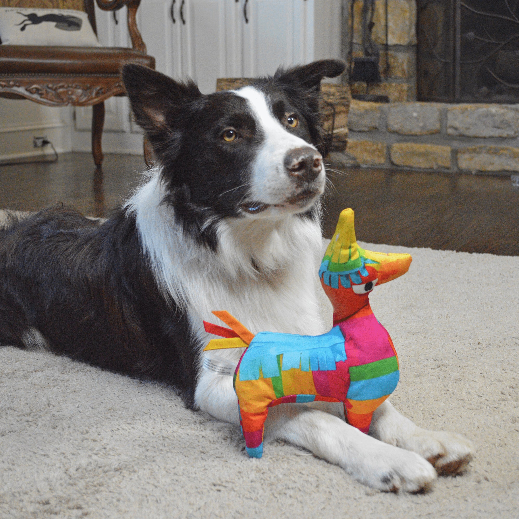 Doggijuana Get the Pawty Started Refillable Llama Pinata Dog Toy, Large