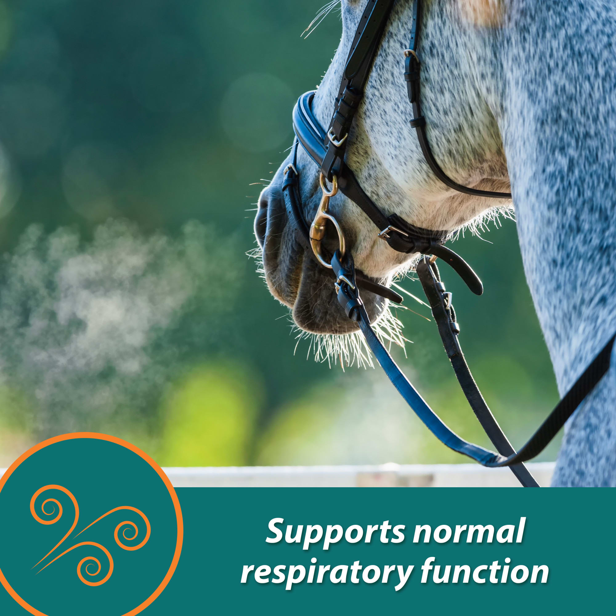 Farnam Cough Free Equine Respiratory Health Pellets, 1.75 lbs.
