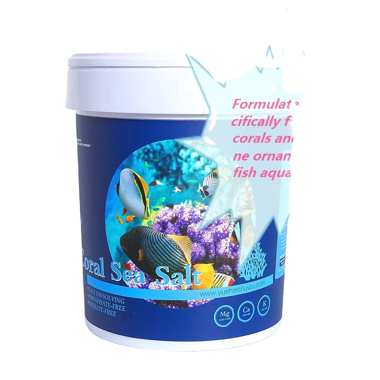 2024 New Ornaments for Aquariums & Accessories Fish Tank Coffee Table with Reef Tropical Fish LPS Coral Sea Salt