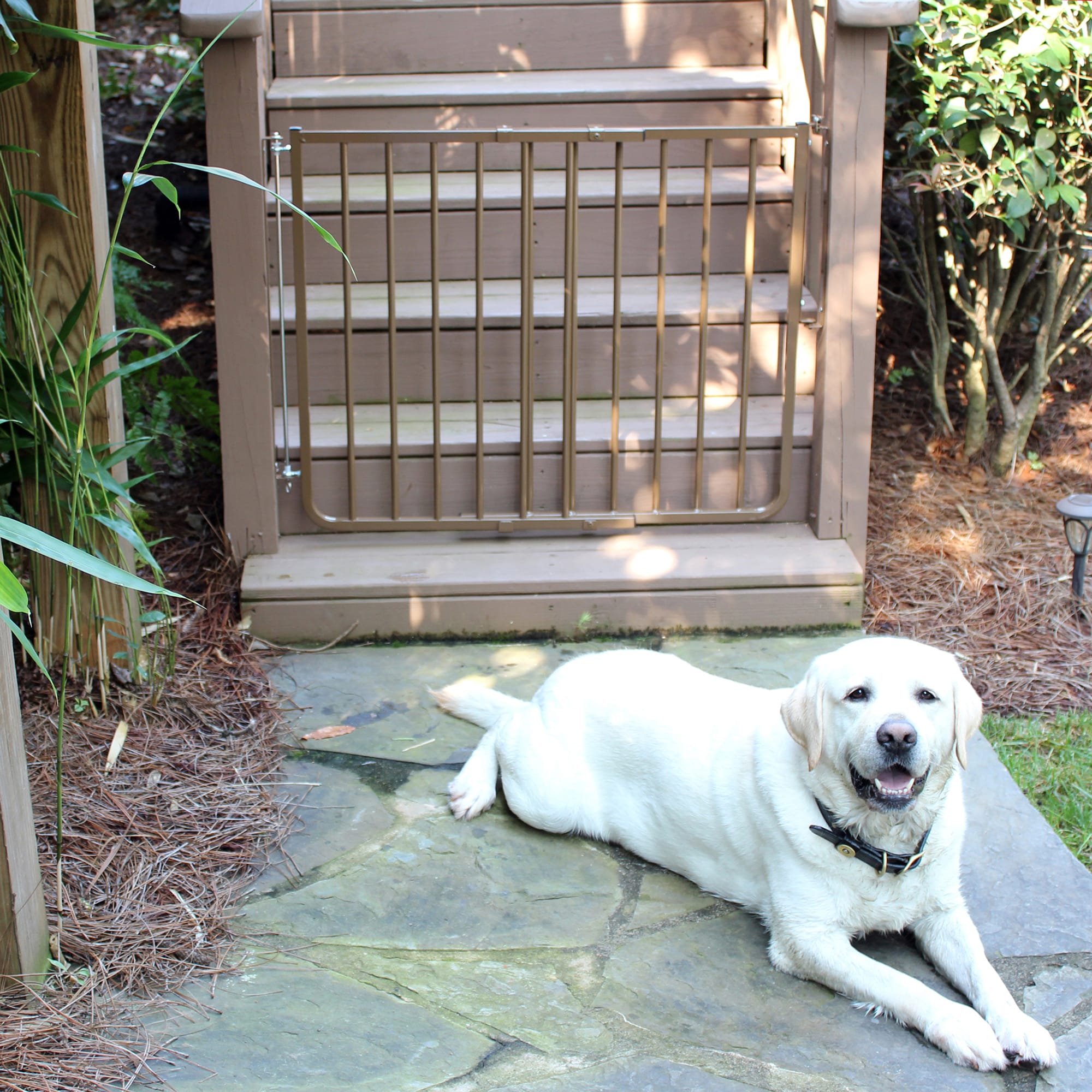 Cardinal Gates Stairway Special Outdoor Pet Gate in Brown, 2" L X 36" W X 29.5" H