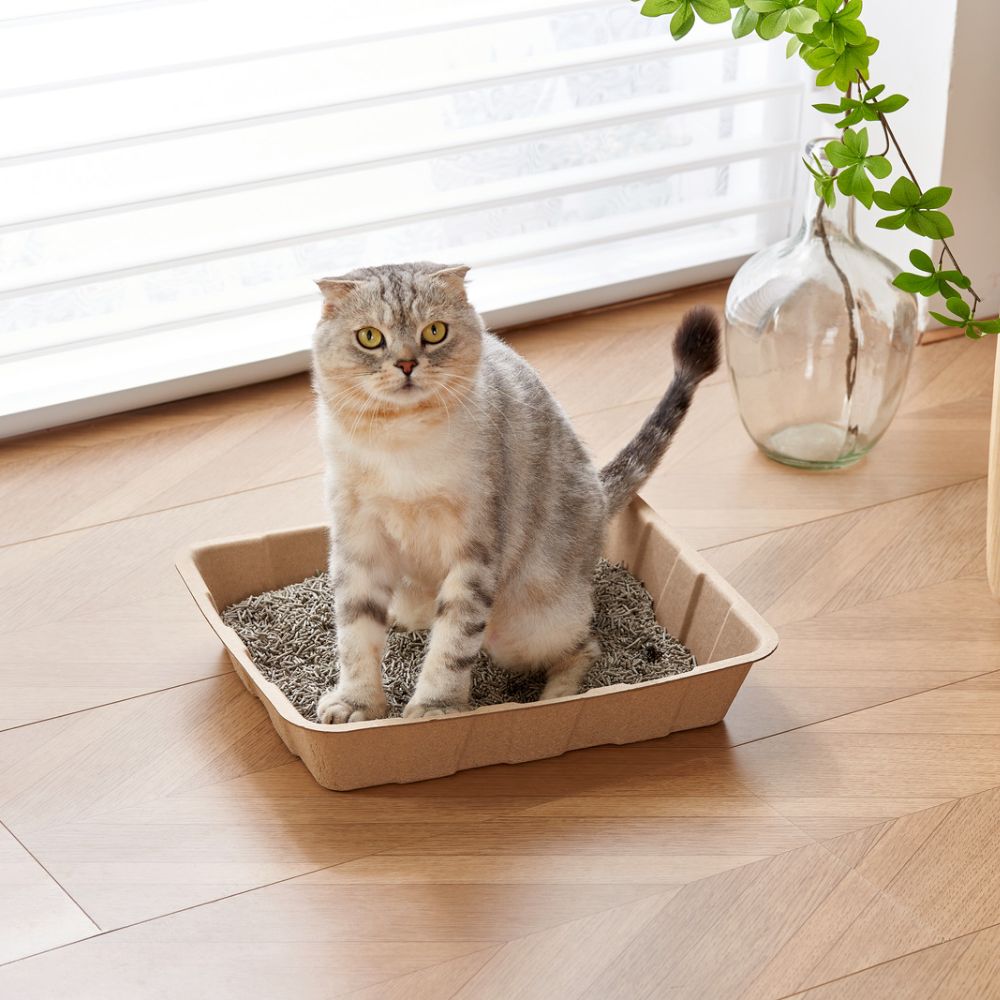 Convenient Disposable Cat Litter Box 1 Pack of 5 Disposable Cat Toilet