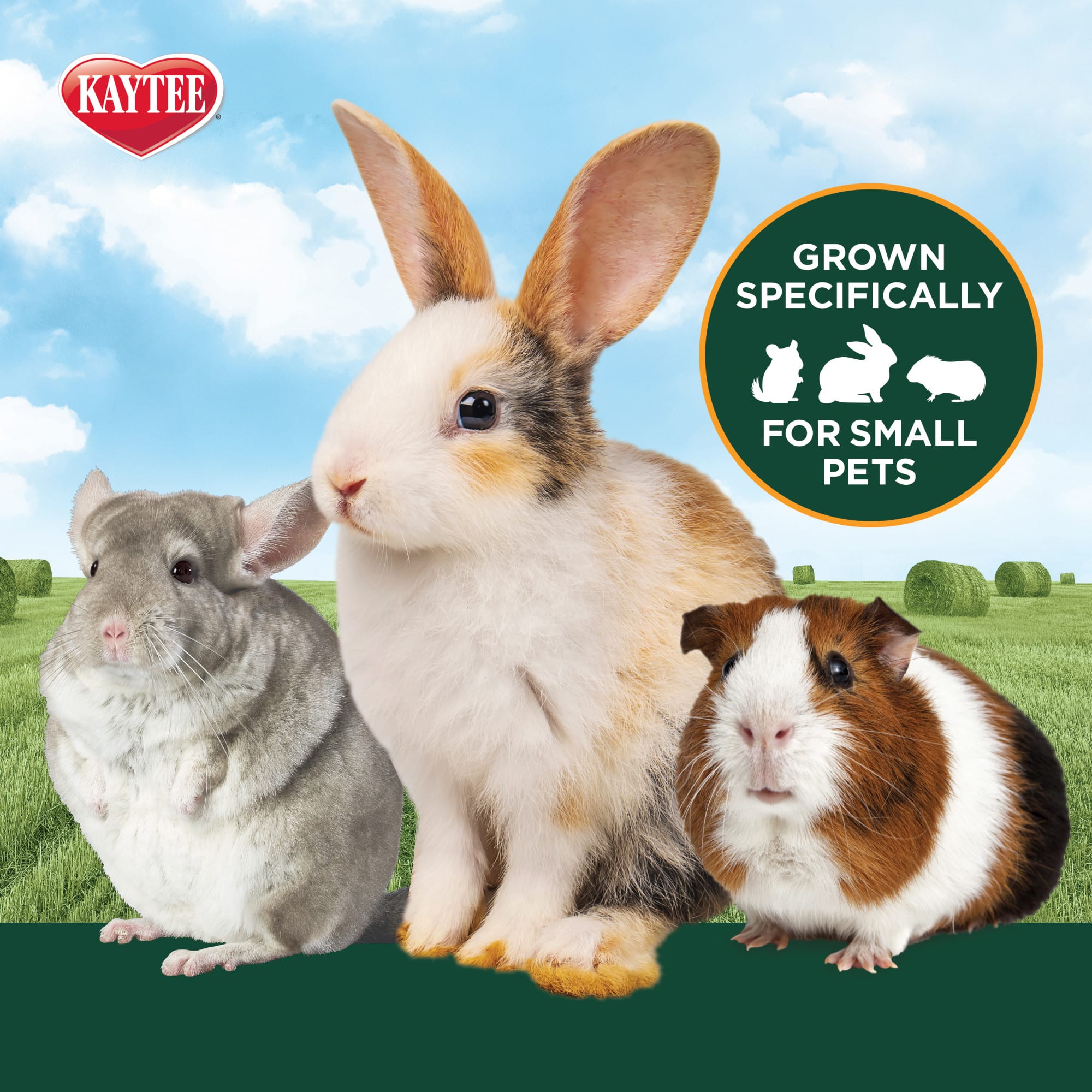 Kaytee Timothy Hay with Carrots, 48 oz.