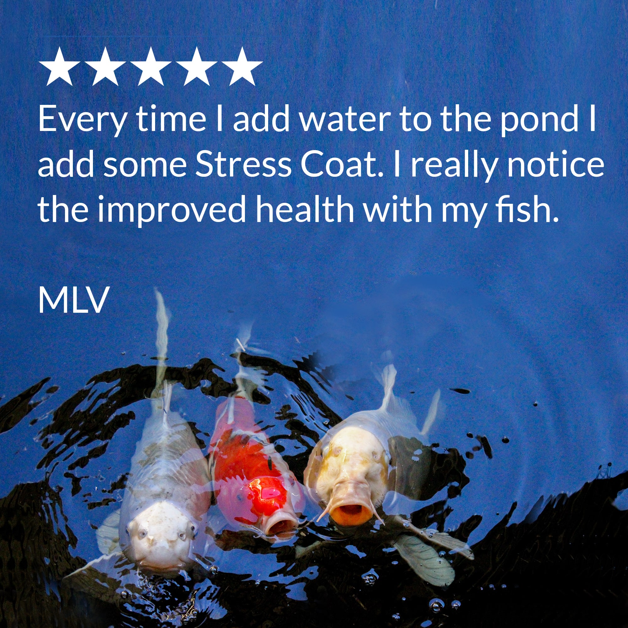 API Pond Stress Coat, 1 Gallon