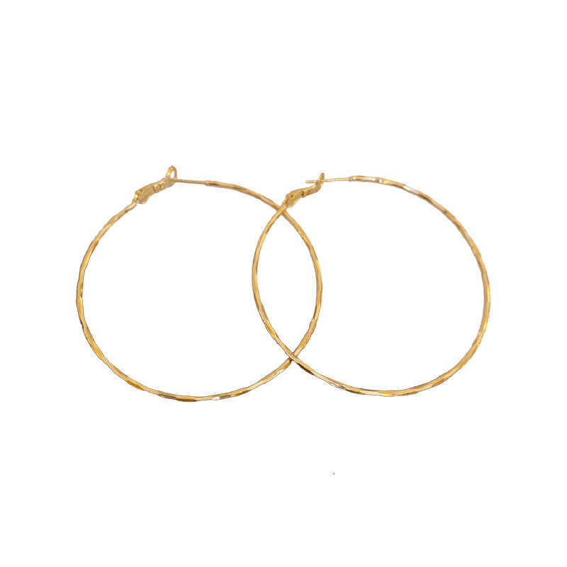 Sier Needle Metal Cold Wind Element Circle Geometric Large with High Quality Charm 2024 New Fashionable Earrings for Women