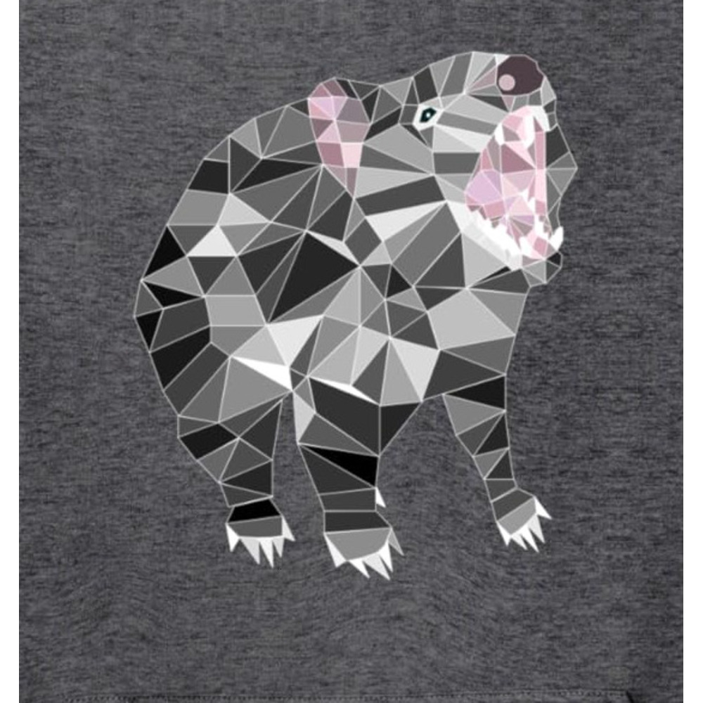 Hoodie for Mens Womens Geometric 2D Poly Tasmanian Devil T-Shirt Pullover Hoodie Graphic Hoodies sweatshirt Fashion Color