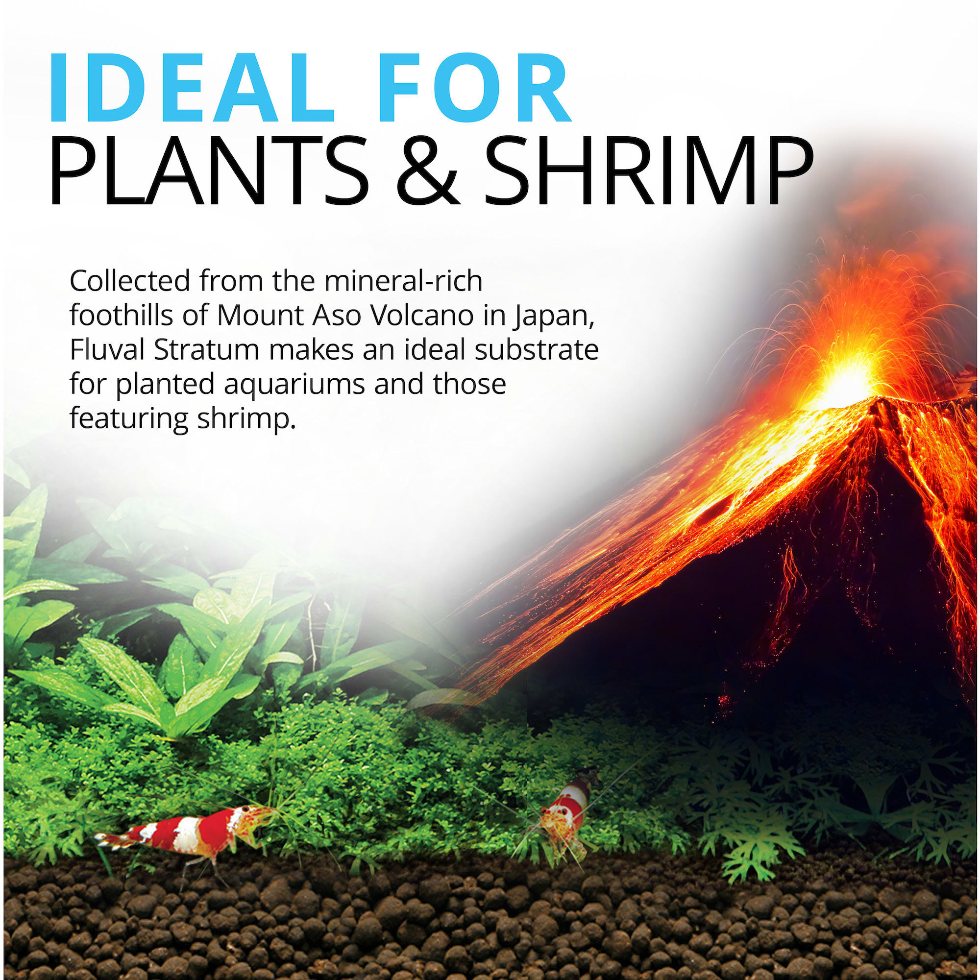 Fluval Plant and Shrimp Stratum, 8.8 lbs.