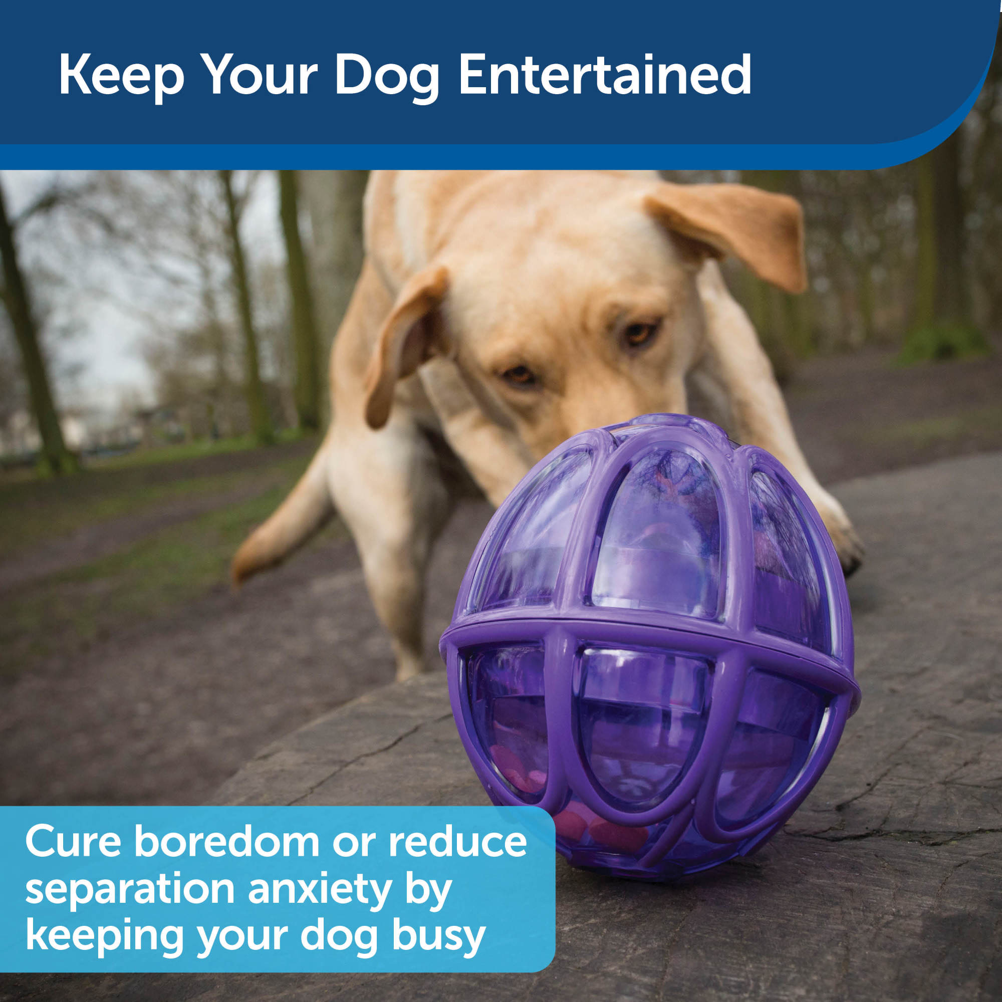 PetSafe Busy Buddy Treat Dispensing Kibble Nibble Dog Toy, Large