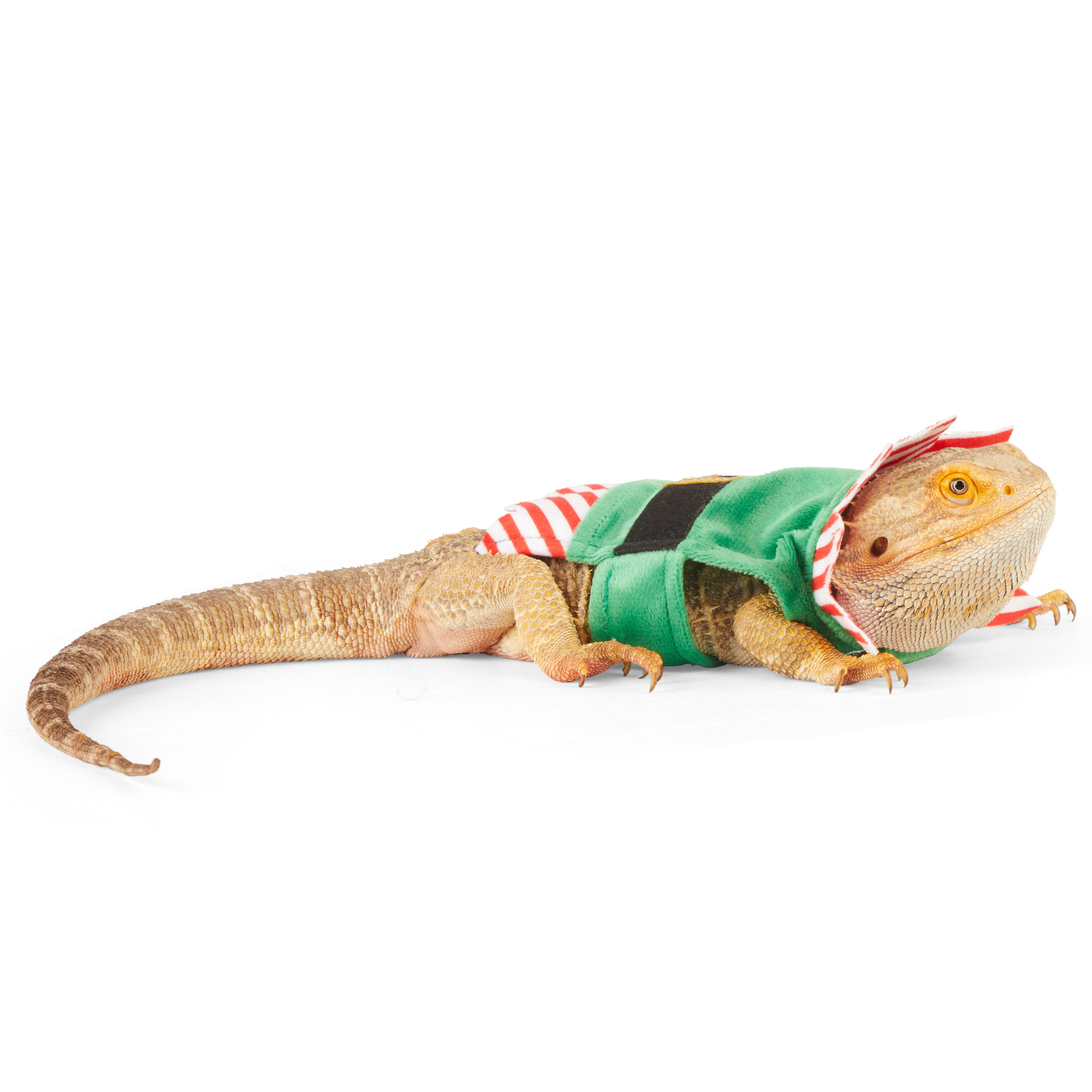 Merry Makings Elf Costume for Reptiles, Green