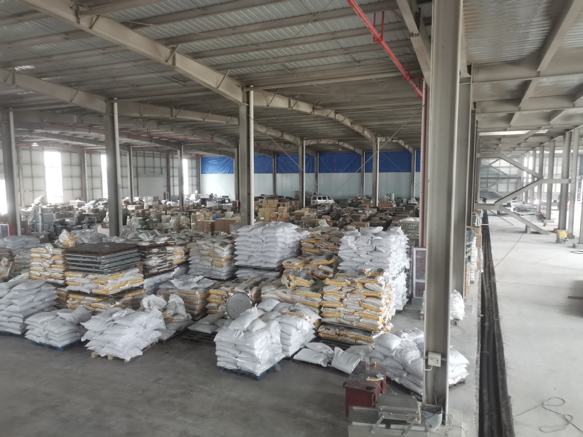 exclusively for India Oem Pet Food Fresh Meat Vegetable High Nutrition Complete Dog Food Vitality