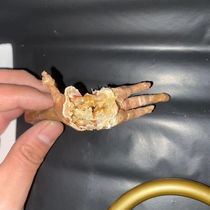High Protein Dry Chicken Feet Pet Treats For Dog