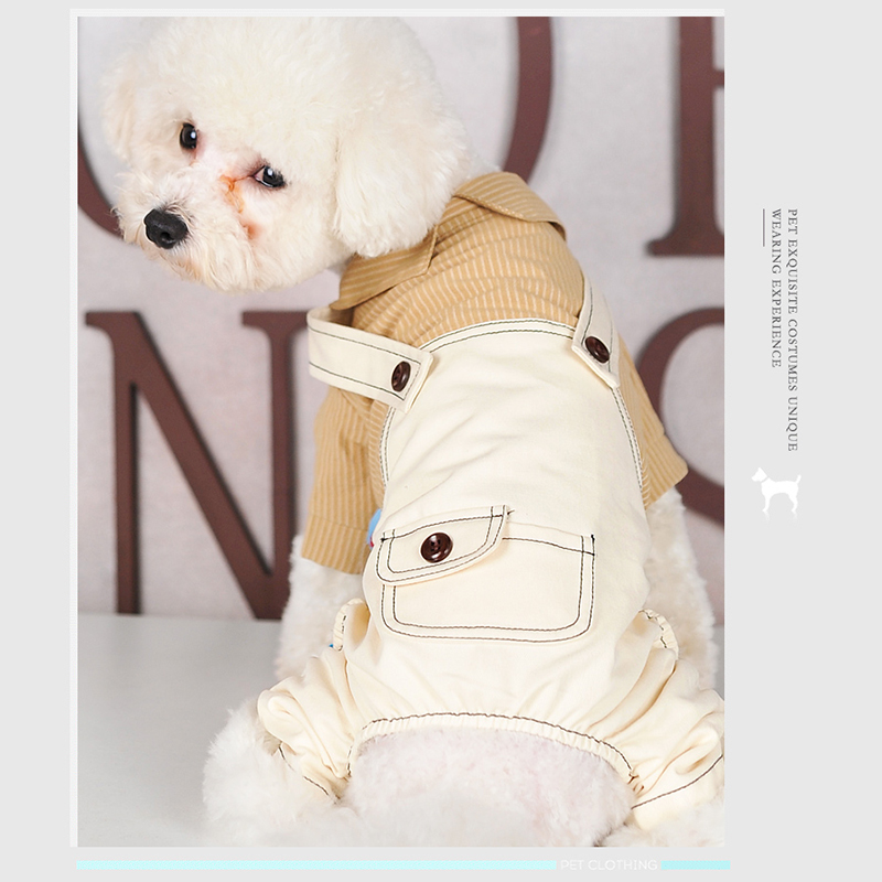 Wholesale Customized Pet Dog Clothes 2020 New autumn winter Stay warm pet costume