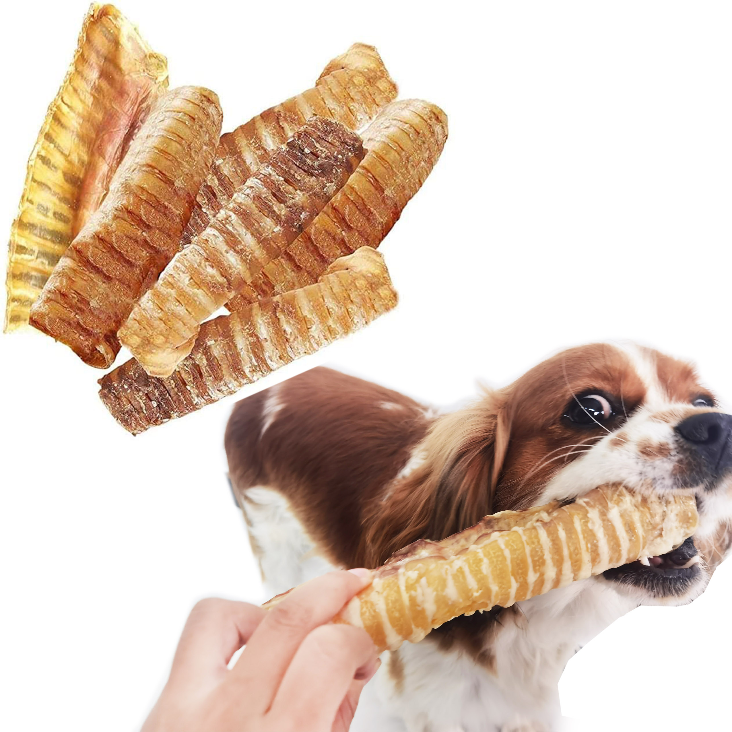 Factory supply wholesale beef trachea grind and clean dog treats