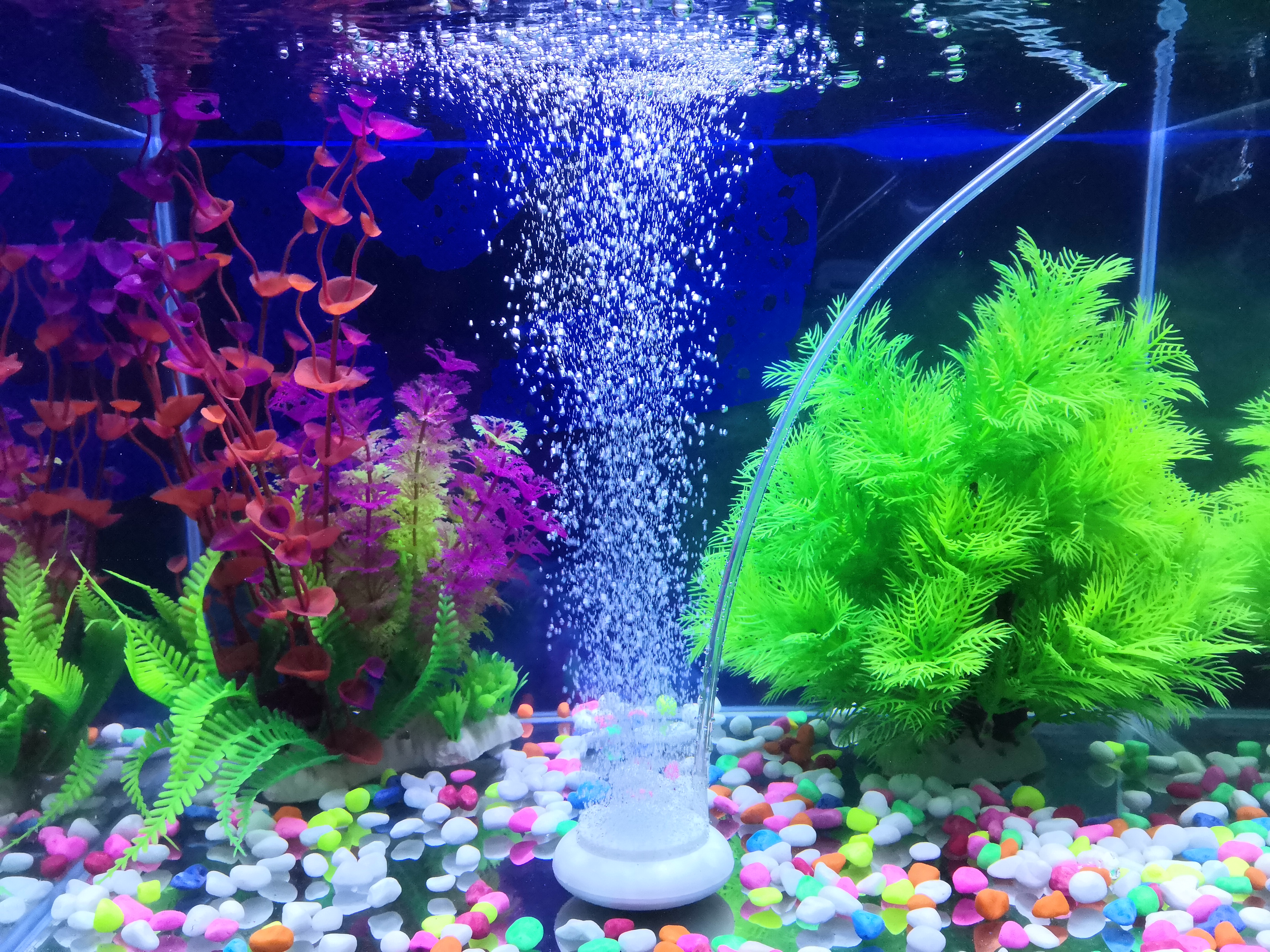 HiSin/HaiXin HT50 white d50mm Wholesale Ozone Diffuser White Color Aquaculture Aquarium Air Stone with super mirco bubbles