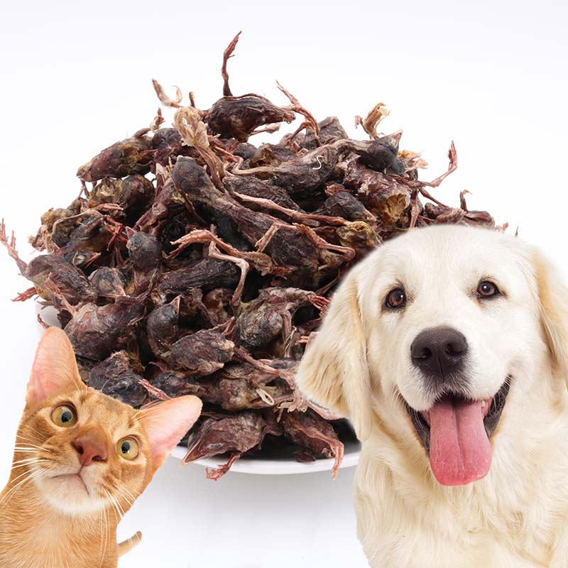OEM ODM Factory Wholesale Natural High Protein Snacks Freeze Dried Quail for Cat Dogs Toy Chews Food