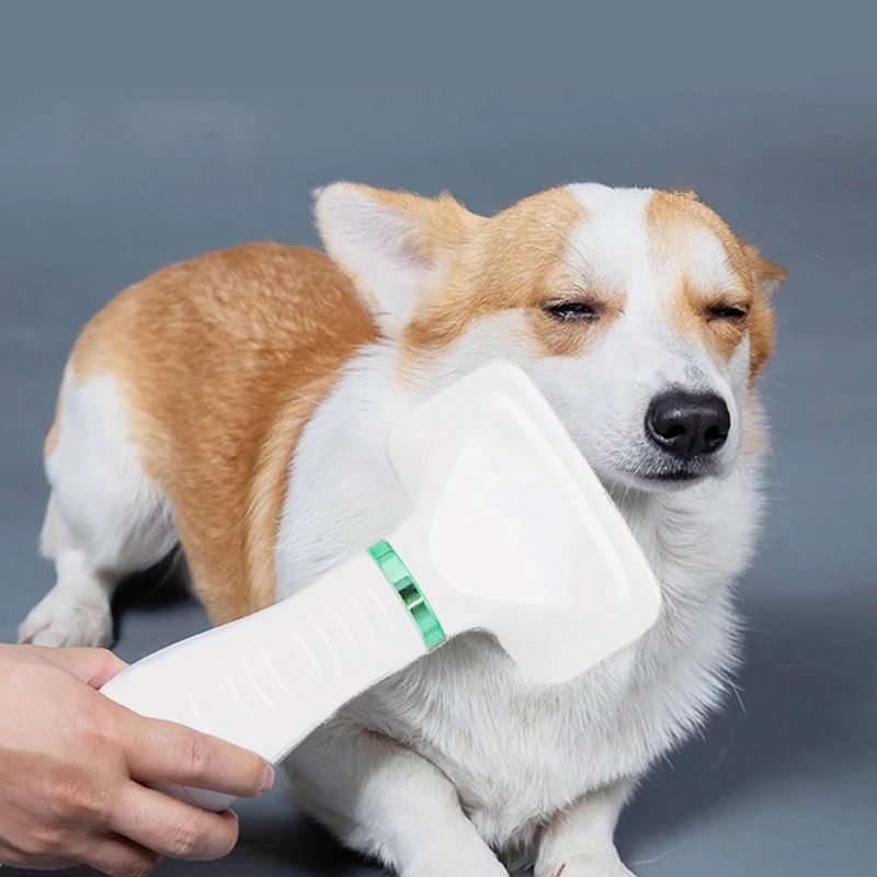 Fashion Pet Cat Comb Portable Pet Blow Hair Dryer Brush Tool Grooming Self Cleaning Pet Brush