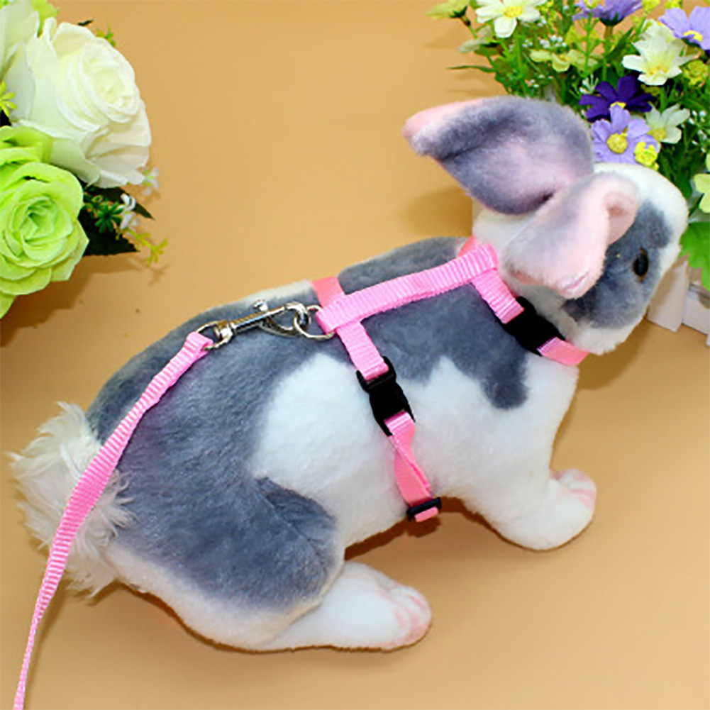Small Pet Rabbit Leash Harness Soft Nylon Running/Walking Harness Leash with Safety Bell for Guinea Pigs Ferret Cat Rat Pet Pigs