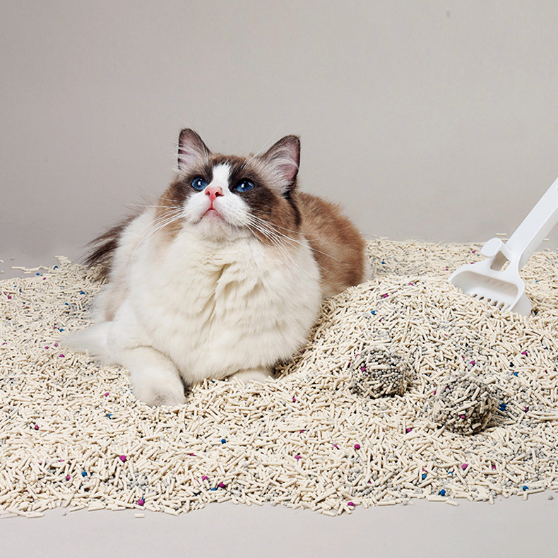 Litter supplier premium mixed fragrance bentonite cat litter export