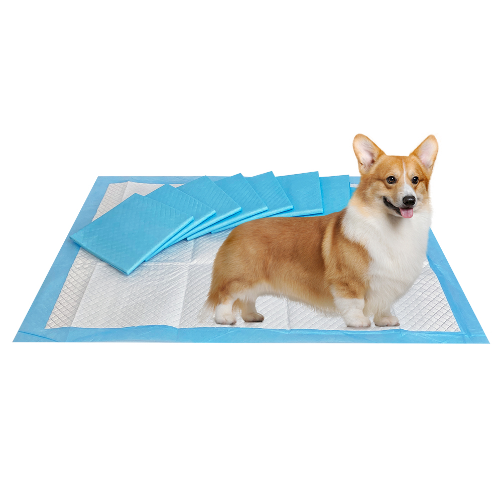 RTS Pet Store Products Wholesale Pet Cleaning Daily Necessities Cat Pet Toilet Mat Puppy Dog Pee Training Pads