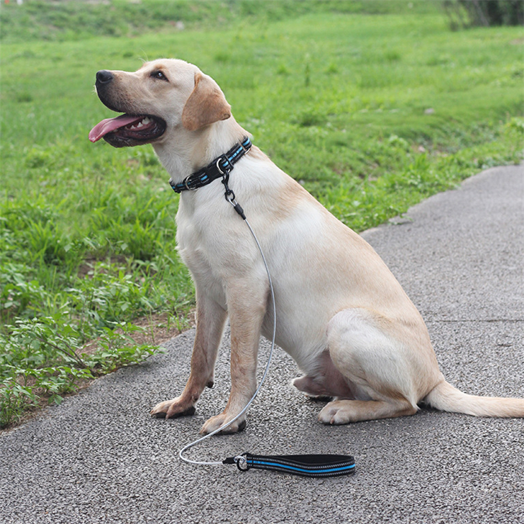 Comfortable Reflective Soft Padded Handle Chain Dog Leash Anti Chew Proof Metal Pet Leash for Medium Large Dogs