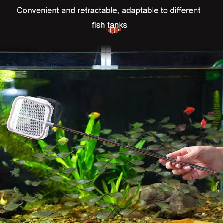 Hot selling 3D Fish Tank Fishing Net Stainless Steel Retractable Fish Shrimp Fish Net Pocket