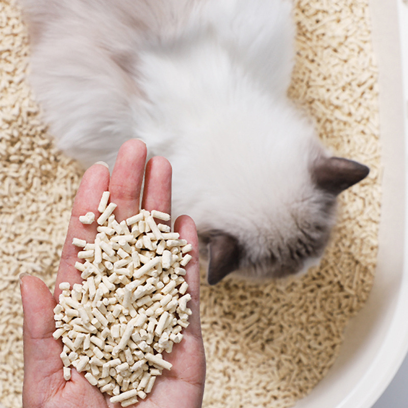 Professional Manufacturer Superior Quality Bulk Natural Production sand cleaner Cat Litter