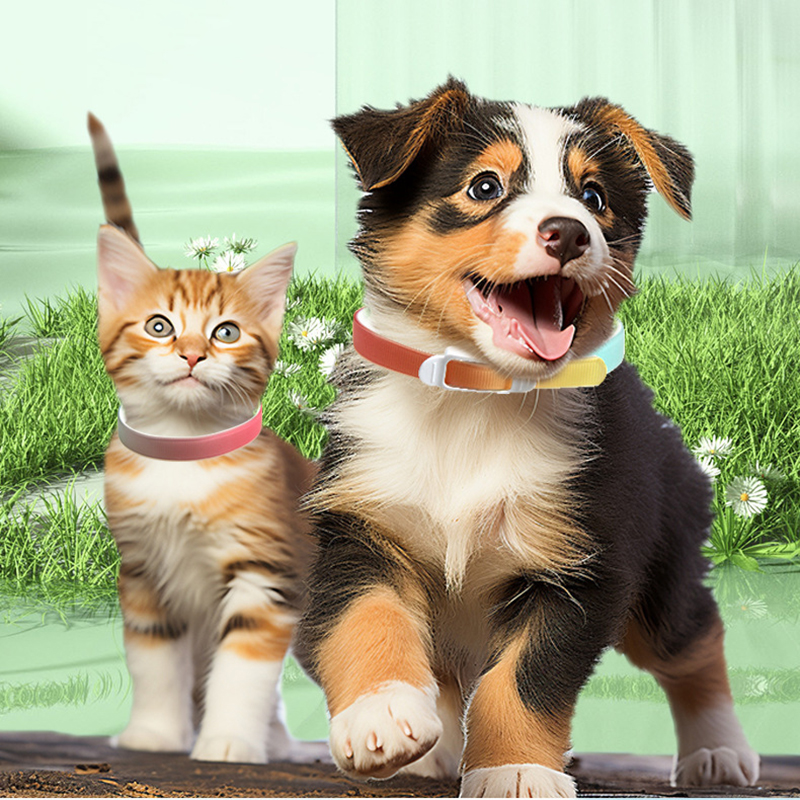 Flea and Tick Pet Collar Cat Mosquito Prevention Natural Essential Oils Large Dogs Puppies Washable 12 Months Protection Trimmable W0242 2d4