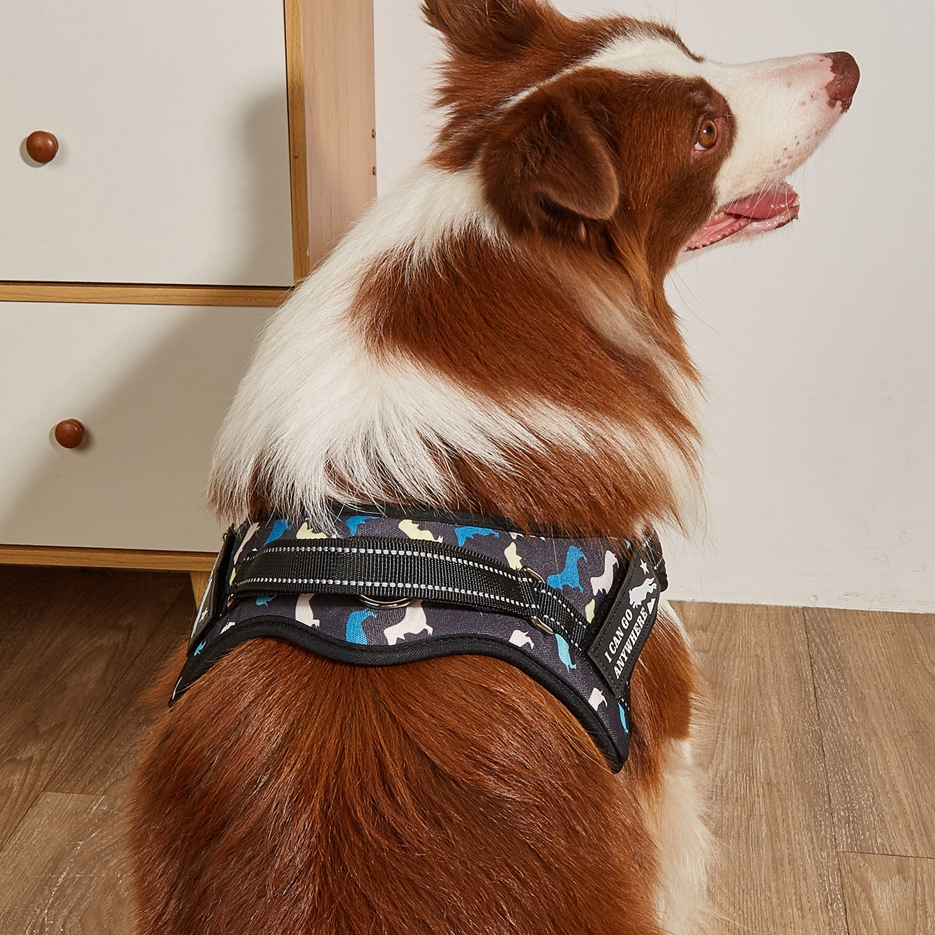 MIDEPET Custom LOGO Accept Pet Product Supplies Front Clip No Pull Dog Harness Print Upgrade Heavy Duty Reflective Fashion 50pcs