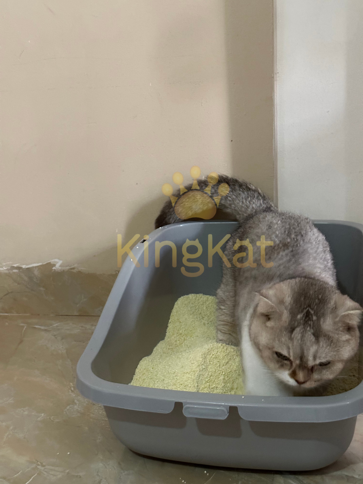 TOP SALE CAT LITTER FROM TAPIOCA STARCH (CASSAVA) PROTECT YOUR CAT AND ENVIRONMENT MADE BY ABIMEX GROUP EXCLUDESIVE
