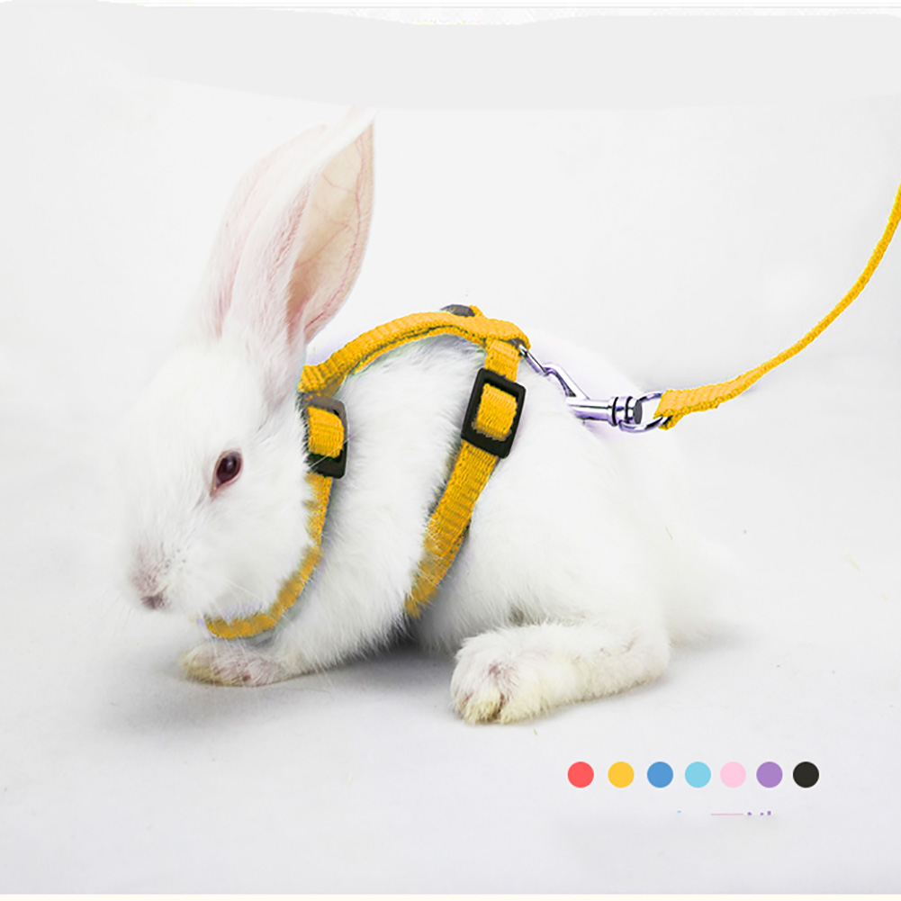 Small Pet Rabbit Leash Harness Soft Nylon Running/Walking Harness Leash with Safety Bell for Guinea Pigs Ferret Cat Rat Pet Pigs