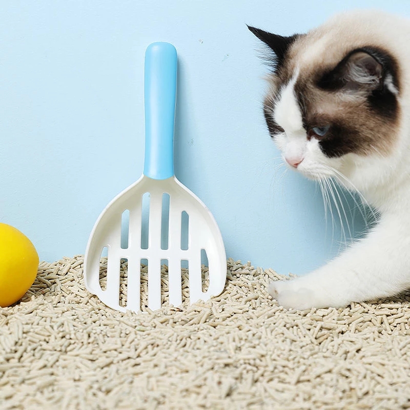 Hot Sale Degradable Feline Fresh Cat Litter Wholesale Cat Litter Quick Clumping Easy Sand Feline Fresh