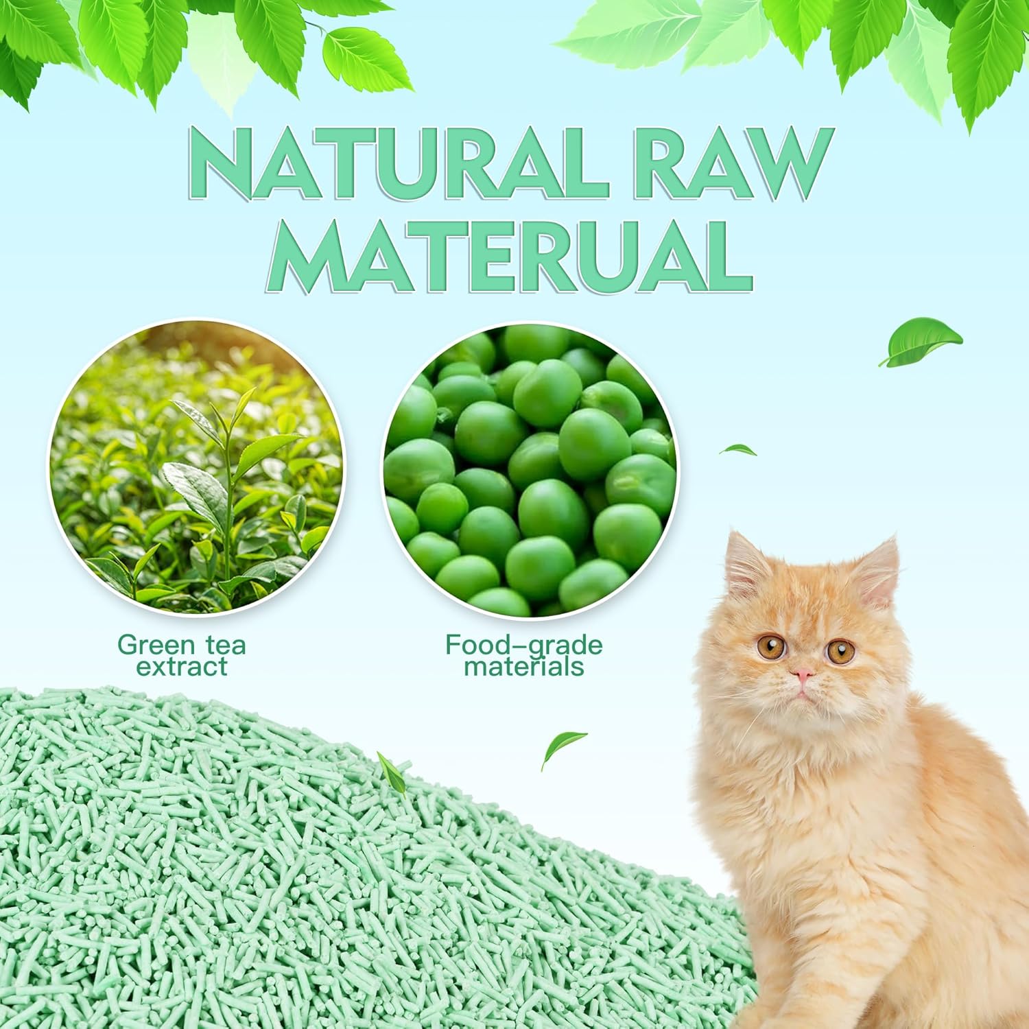 Malaysia Brand Best Clean Deodorant Tofu Clumping Cat Sand World's Low-Priced Cat Litter Suppliers