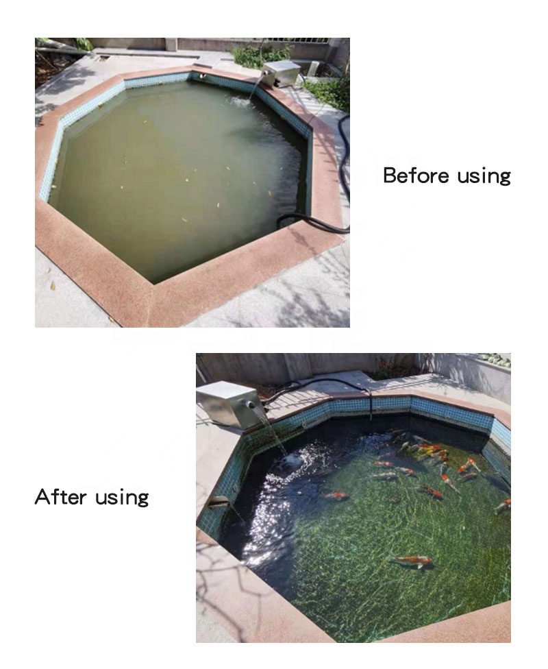 Custom Design Courtyard Villa Landscape Pond Freshwater Fish Pond Water Filter Fishing Aquariums Filter