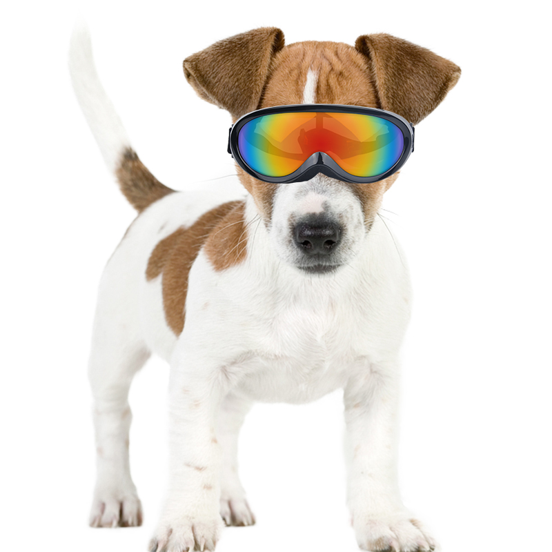 Dogs glasses Waterproof Pet Accessories Pet Sunglasses hound dog ski Googles