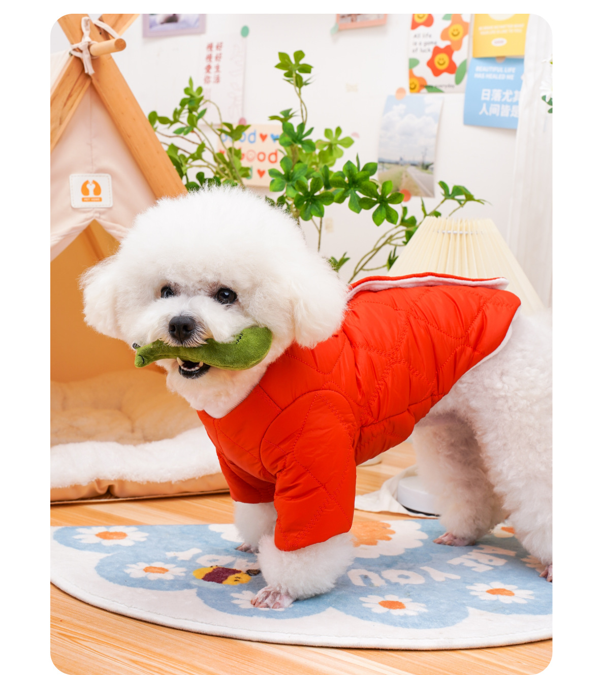 Winter Pet Clothes New Design Cat Sweatshirt Dog Pet Warm Clothes With Pocket